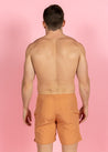 Mens Swimsuit - Shorts - Clay