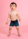 Baby Boy Swimsuit - Shorts - Ribbed Midnight Teal