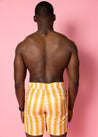 Mens Swimsuit - Trunks - Vintage Triangles