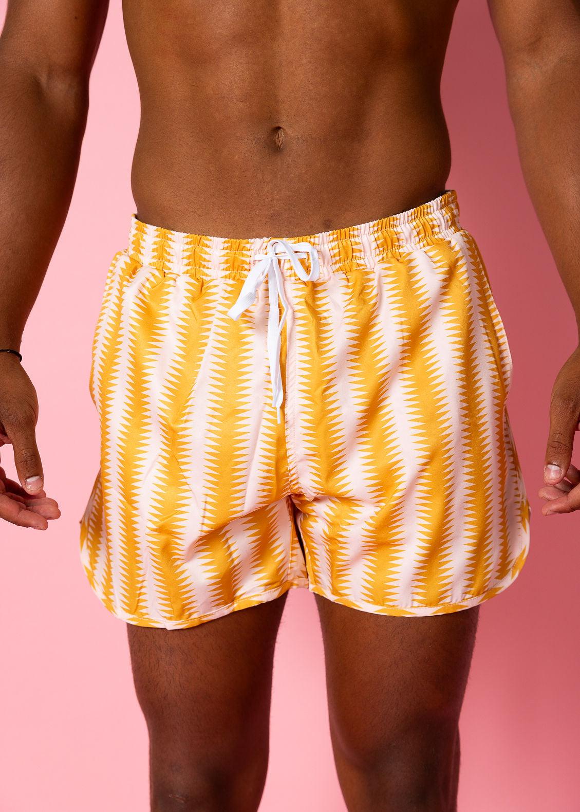 Mens Swimsuit - Shorts - Vintage Triangles