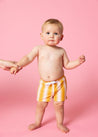 Baby Boy Swimsuit - Shorts - Vintage Triangles