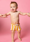 Baby Boy Swimsuit - Shorts - Vintage Triangles