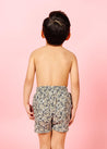 Boys Swimsuit - Shorts  - Antique Daisy