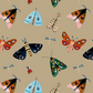 Bugged