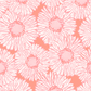 Pink Daisies