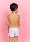 Boys Swimsuit - Shorts  - Taupe Dashes