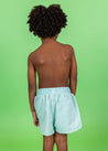 Boys Swimsuit - Shorts - Spearmint