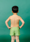 Boys Swimsuit - Shorts - Sweet Pea Green