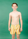 Teen Boy Swimsuit - Shorts - Vintage Triangles